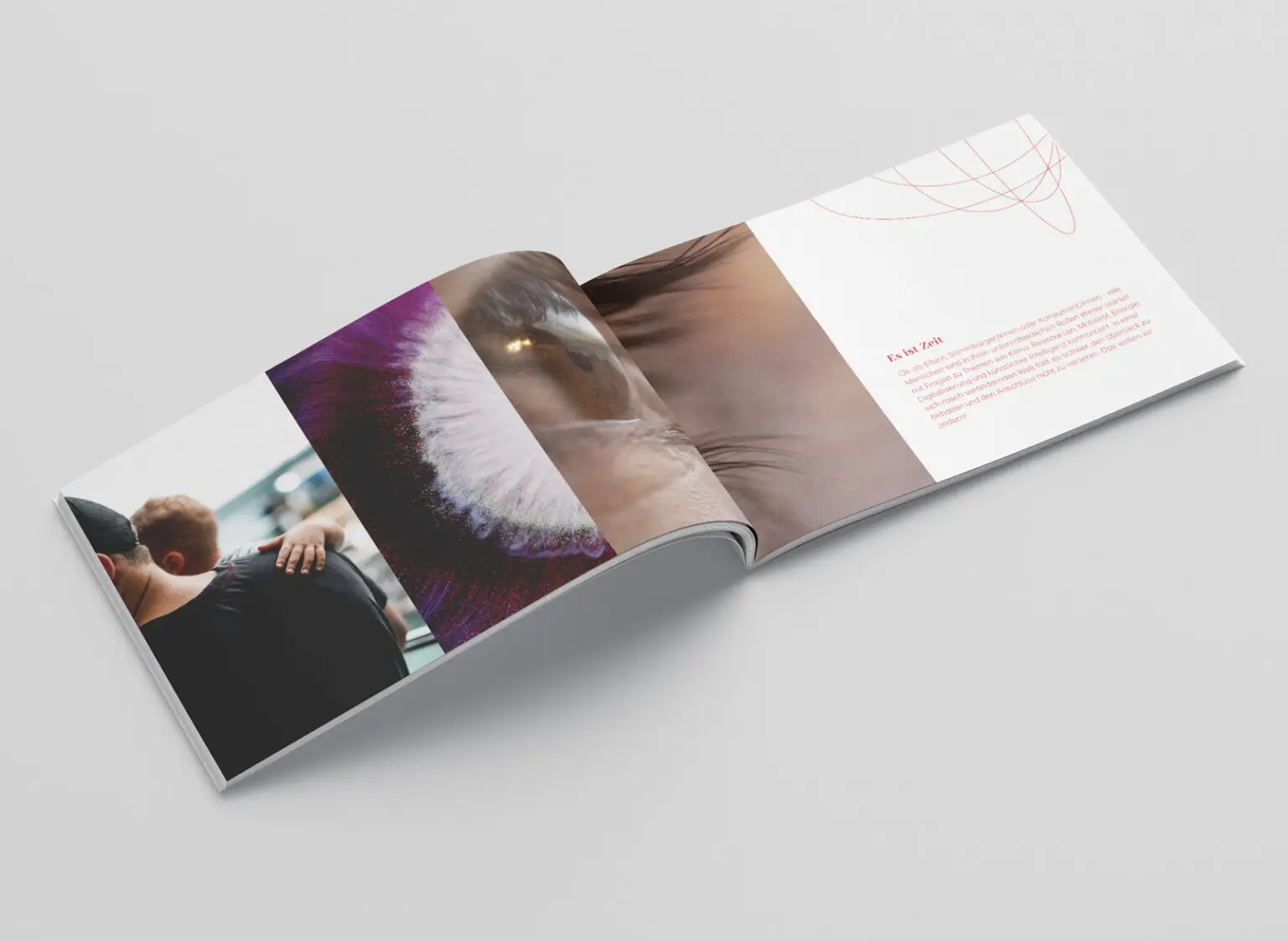 Layout und Gestaltung für Broschüre