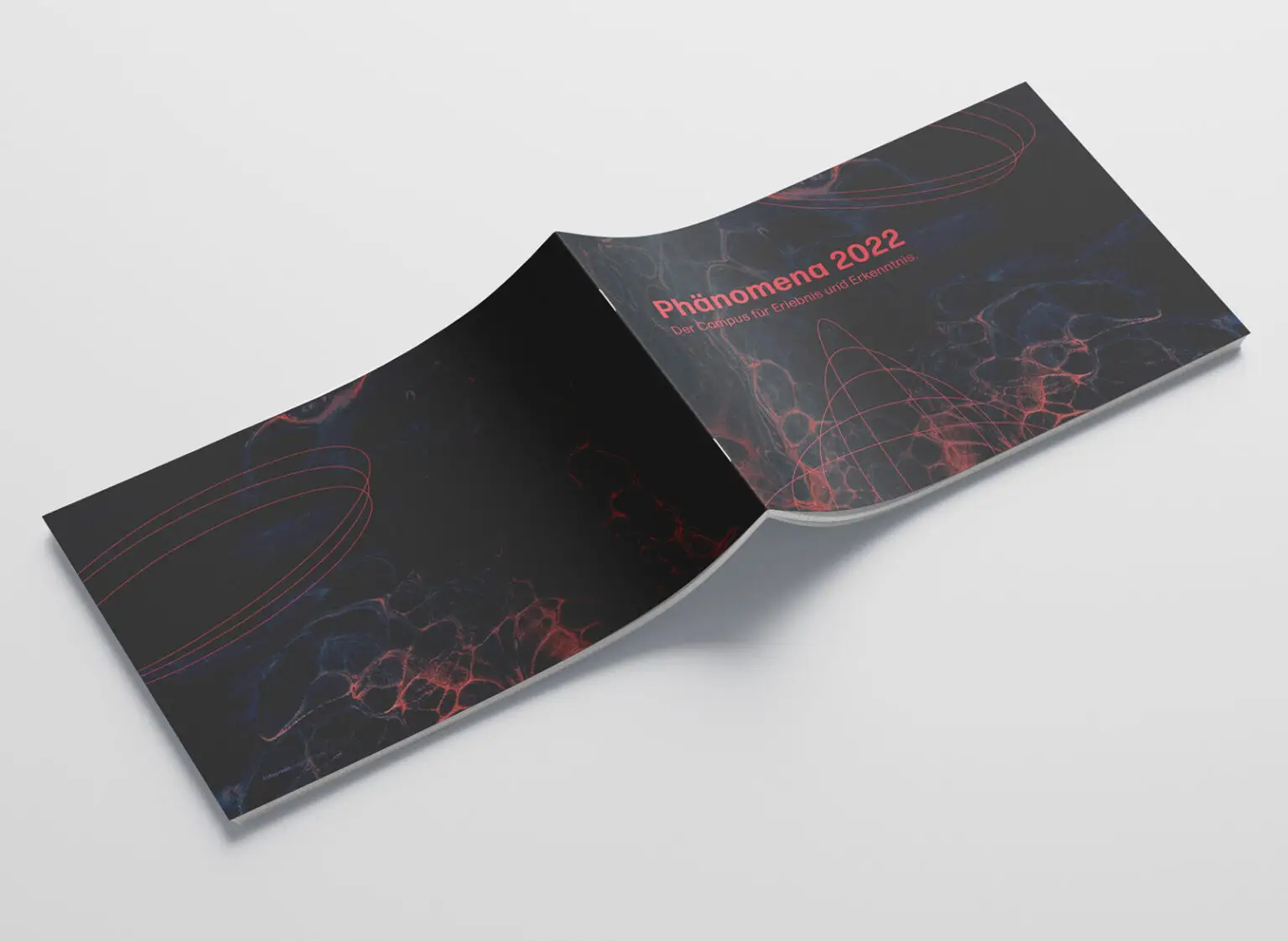 Gestaltung der Broschüre für die Ausstellung Phänomena​