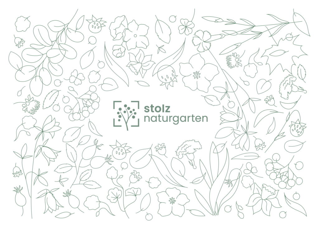 Illustrationen einheimische Pflanzen für Corporate Design