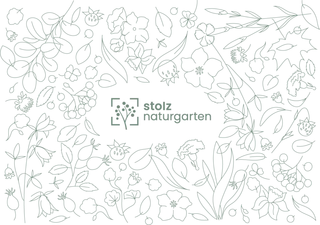 Illustrationen einheimische Pflanzen für Corporate Design